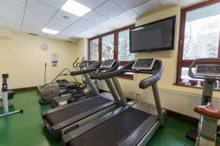 Wellness Hotel Borovica