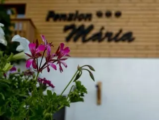 Penzion Maria