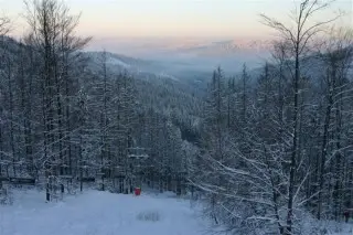 Chata Ćućoriedka