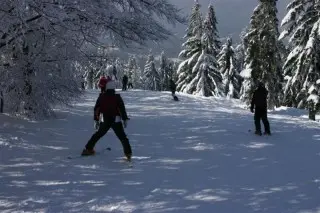 Chata Ćućoriedka