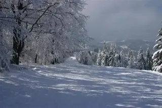 Chata Ćućoriedka