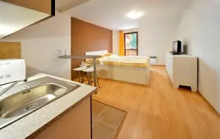 Apartmany Kamzik