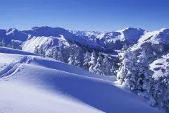 Alpenhotel Saalbach
