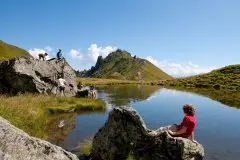 Appartement Alpina