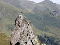 Appartement Alpina