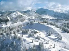 Gasthof Reinbach Stube