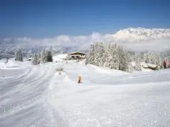 Gasthof Reinbach Stube