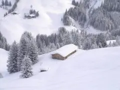 Hotel Almrausch