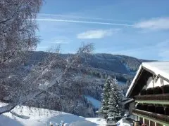 Hotel Alpenkrone