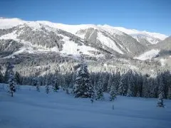 Hotel Alpenrose
