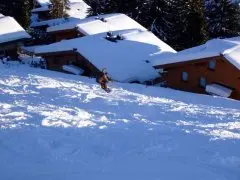 Hotel Alpenrose