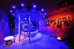Hotel Alpine Palace