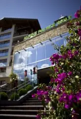 Hotel Alpine Palace