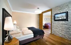 Hotel Alpine Palace