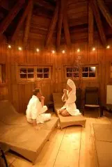 Hotel Alpine Palace