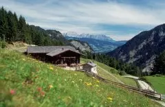 Boutiquehotel Lindenhof