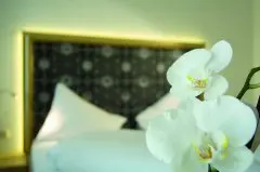 Hotel Eder