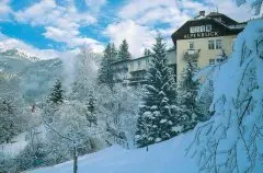 Hotel Alpenblick