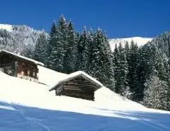 Hotel Latini