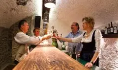 Hotel Mitteregger
