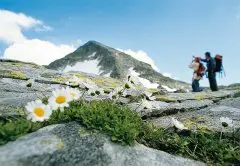 Hotel Sporthotel Kitz